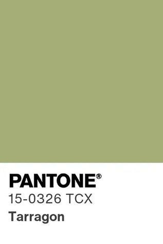 Тканина напівлляна салатова колір 1667 Tarragon 15-0326 TCX 56% льон 44% віскоза lin_vis_1667 фото